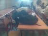 Aperu indisponible